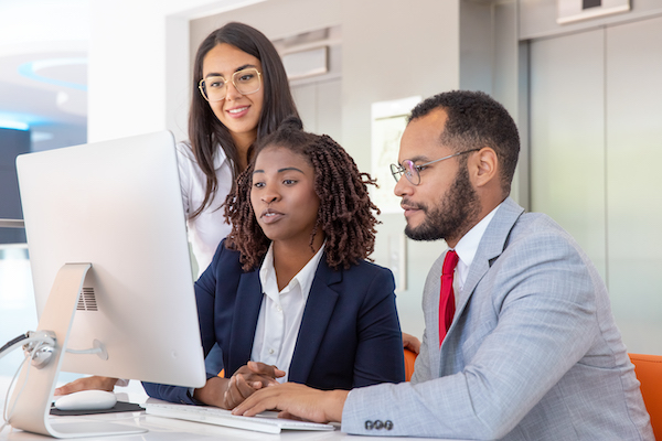 software implementation staff